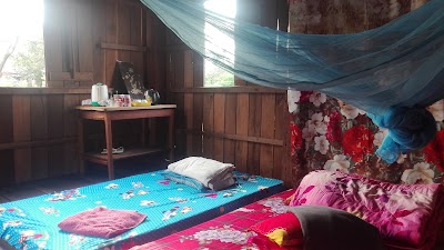 Photos of Tree Trails Travel Lodge