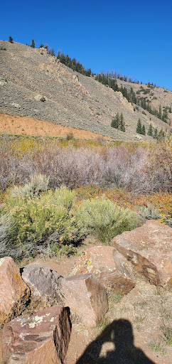 Cochetopa Creek Recreation Site - Thumbnail