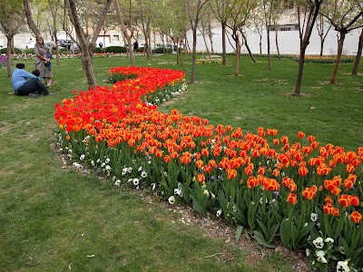 Photos of Tarbiat Park