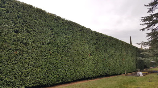 Photo de Entreprise Jerôme