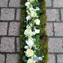 Photo n°26 de Fleuriste, Une Fleur m'a dit à Lanvollon à Lanvollon (Fleuriste)