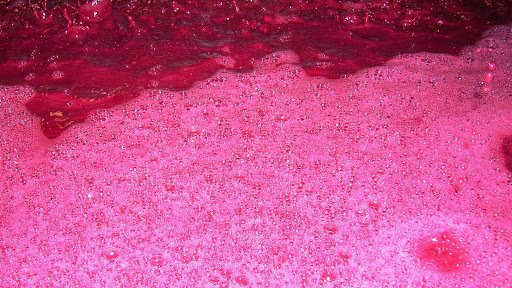 Laboratorio Enoloxico Doviño S.L