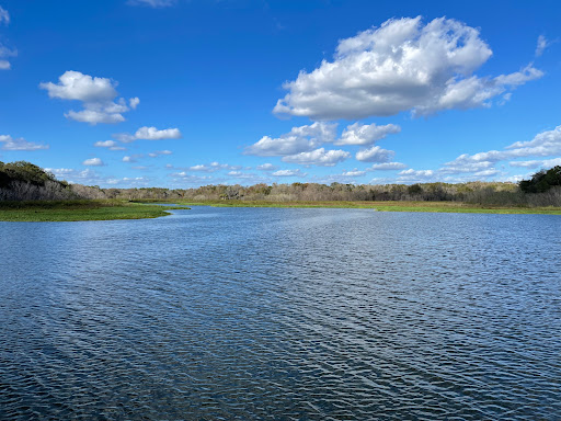 Medard Park/ Hillsborough County Parks - Thumbnail