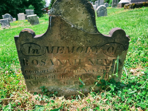 Raccoon Cemetery - Thumbnail