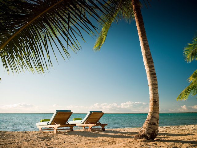 Tiamo Resort by null