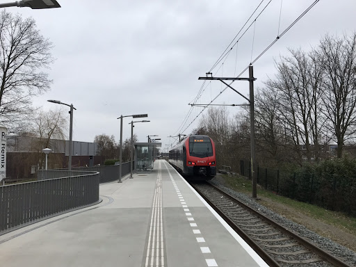 Boskoop Snijdelwijk - Thumbnail