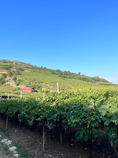 Strada dei dieci capitelli