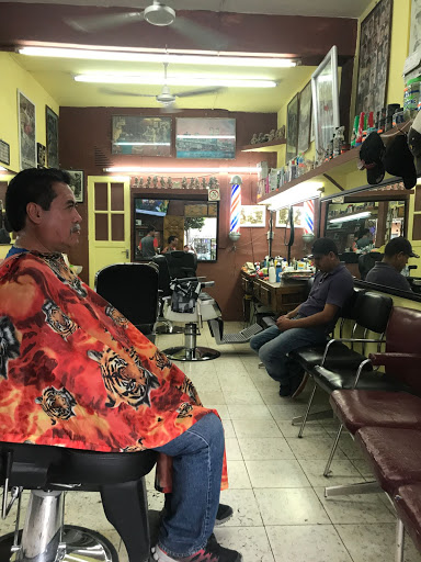 Peluquería Roma