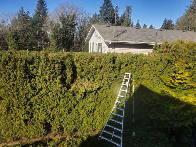 Eagle's Wings Landscape Maintenance