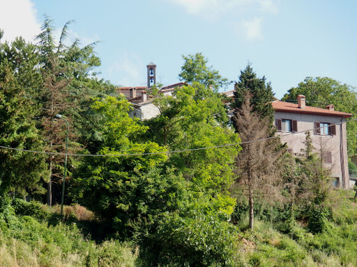 Montalone - Thumbnail