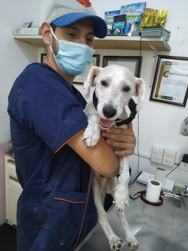 Veterinaria Bastian Medicine Pet