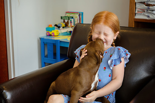 Carolina Pets Animal Hospital - Thumbnail