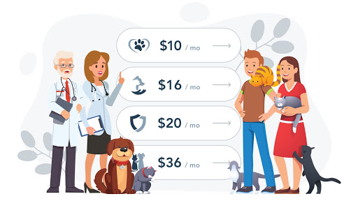 Pawlicy Advisor Inc. - Thumbnail