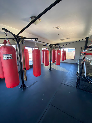 Speed knocks boxing - Visual