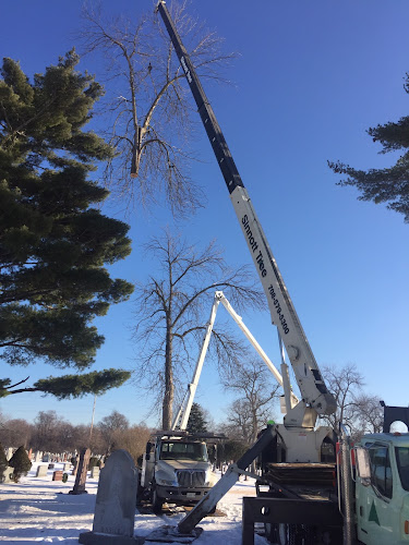 Sinnott Tree Services Inc