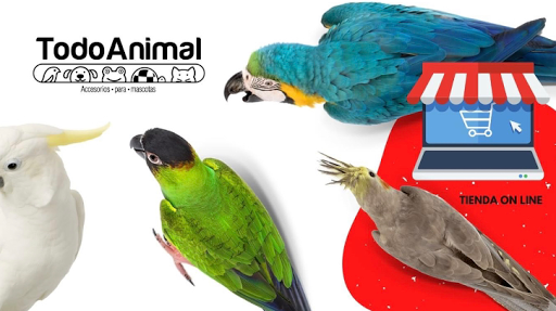 Importadora y comercializadora Todo Animal Accesorios y Alimentos para Mascotas - Thumbnail