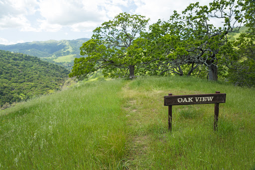 Oak View Backpack Camp - Thumbnail
