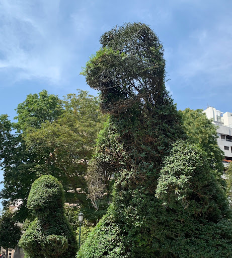 Dinoseto - Visual