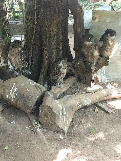 Photos of Gajaba Zoo