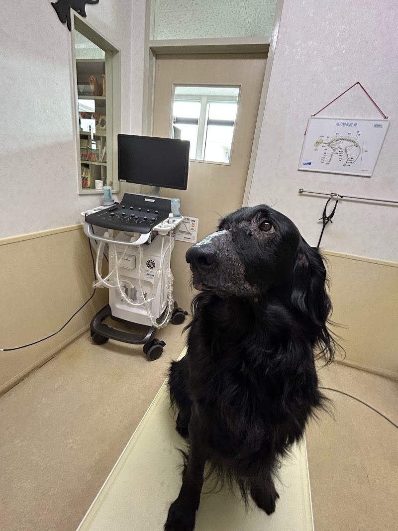 すどう動物病院