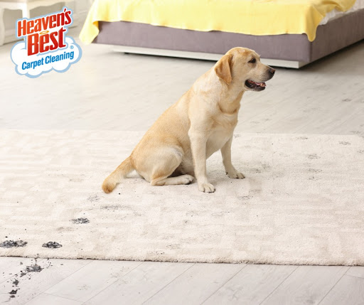 Heaven's Best Carpet & Upholstery Cleaning - Thumbnail
