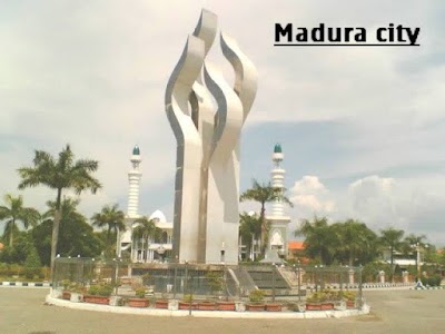 Photos of Maja Store