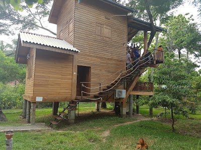 Photos of Wilpattu Tree House Hotel