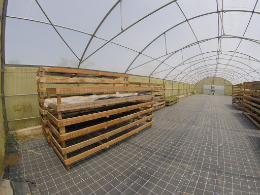 Azienda agricola Don Alfonso - Thumbnail
