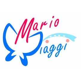 Mario Viaggi - Visual