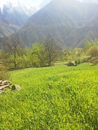Photos of ليسه صميمي شهيد Samimi Shahid High School