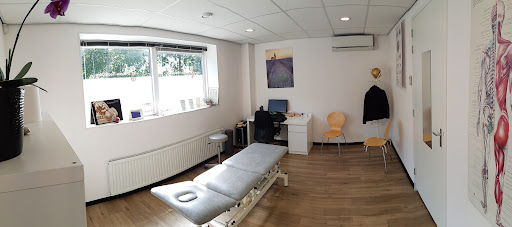 Fysio Hoofddorp - Thumbnail