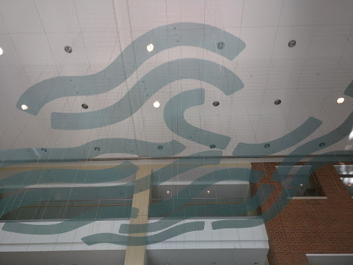 AstraZeneca - Visual