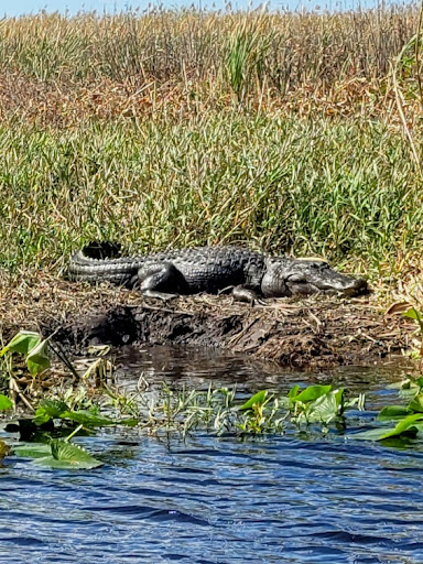 Airrow Boat Tours
