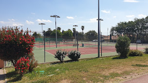 Photo n°2 de Association Tennis Pollestres à Pollestres (Club de tennis)