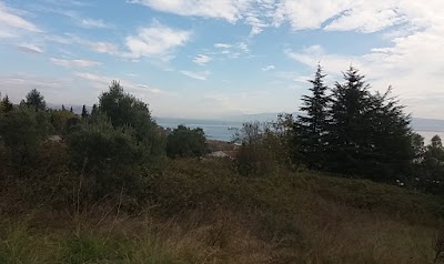Photos of Aras Kargo Darıca Şubesi