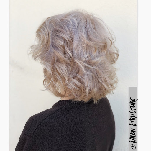 Salon Structure - Visual