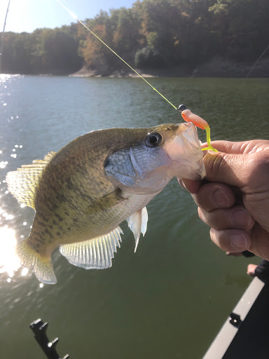 lithiafishingguide.com - Visual
