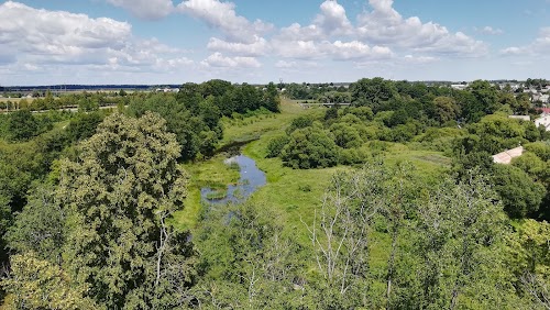 valstybinio