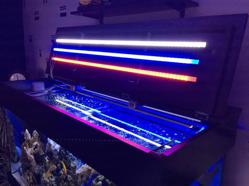 Lunar Led - Thumbnail