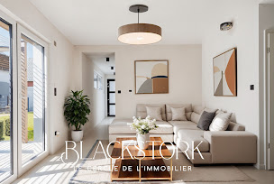 Photo n°22 de Blackstork Immobilier Agence immobilière en Alsace I Achat I Vente I Location I Gestion I Estimation I Conseil à Hipsheim (Agence immobilière)