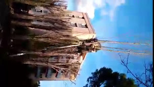 Photo n°10 de PRO ELAG à Draguignan (Paysagiste)