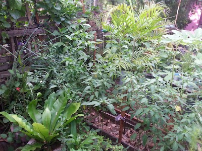Photos of Gem Villa Botanical Garden