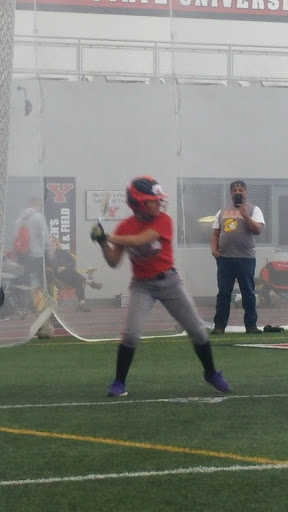 YSU Softball Complex - Visual