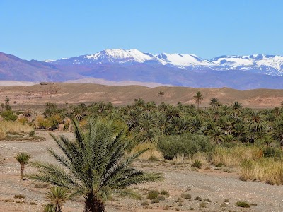 Photos of Kasbah La Palmeraie