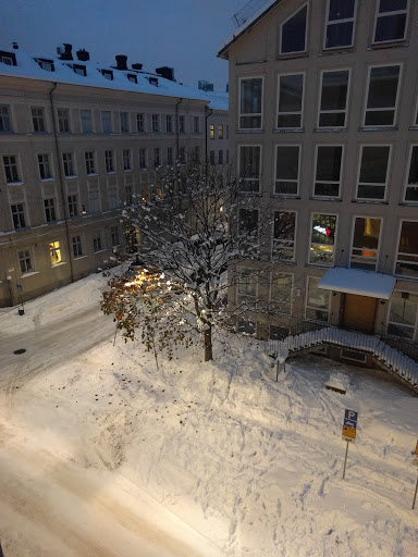 Besökarbild Lilla Rådmannen