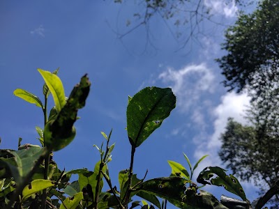 Photos of Air travel Curug Tilu