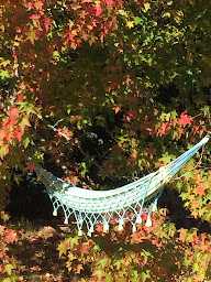 Photo n°11 de Chambres d’hôtes Any et Jean Louis à Mios à Mios (Chambre d'hôtes)