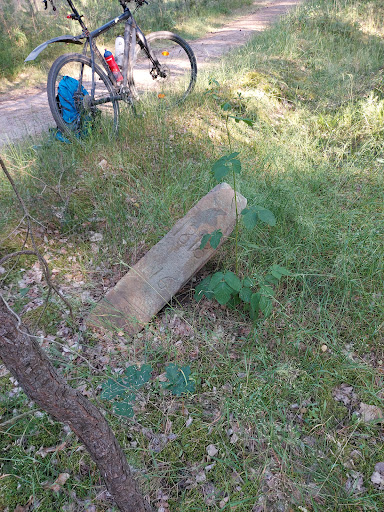 Wegstein