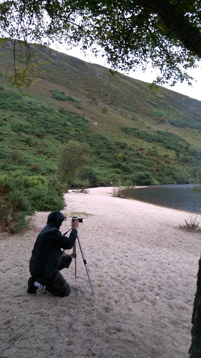 Lough Dan