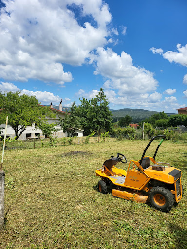 Llanos Verdes Jardinería - Thumbnail